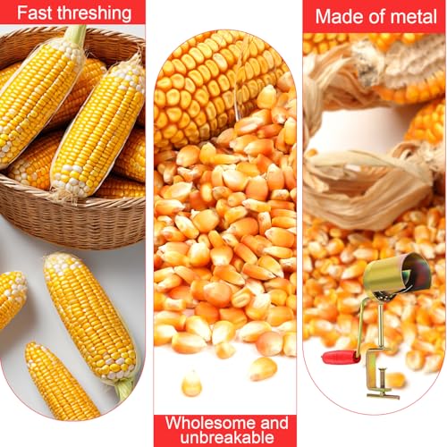 Image of 1Pcs Manual Hand Crank Corn Thresher Sheller | Efficient Cob Stripper Tool | Comfortable Wood Handle | Cast Iron Build | Portable | for Dry Corn | for Farm & Home Use