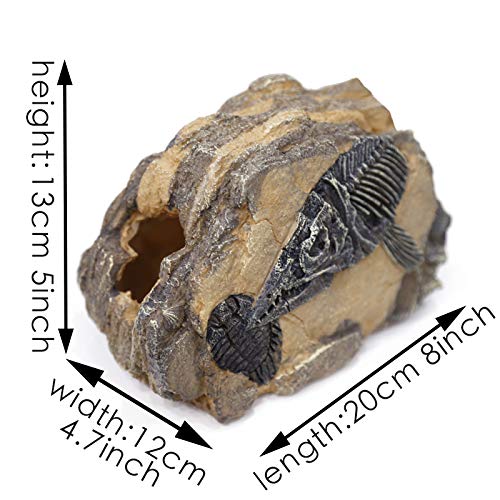 Reptiles-Amphibians Habitat-Hideouts Rock Aquarium-Decorations - Dinosaur Fish Bone Fossil Imitation Skull Model for Lizard Chameleon Tortoises Snake Spider Frog Gecko Praying - Thumbnail 2