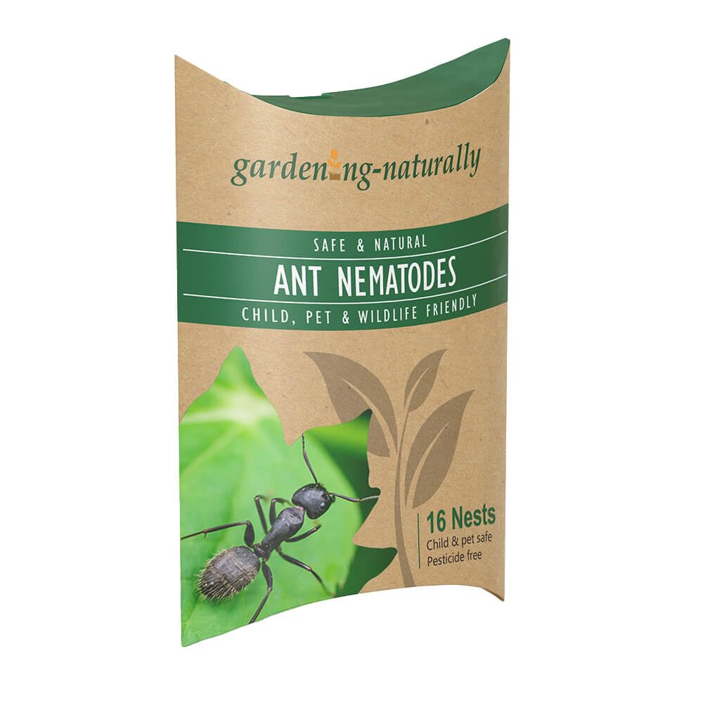 Ant Nematodes for Lawns & Gardens Natural Safe Control of Ants Treats 16 Nests from Gardening Naturally