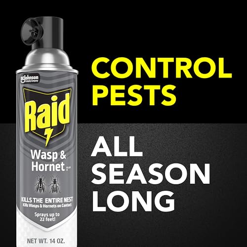 Image of Raid Wasp & Hornet Killer Spray, Kills the Entire Nest, for Paper Wasps, Yellow Jackets, Mud Daubers and More, 14 oz (Pack of 4)
