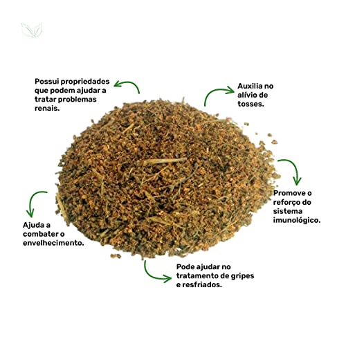 Chá de Sabugueiro Orgânico