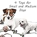 Otterly Pets 4-Pack Puppy Dog Rope Toys for Small to Medium Dogs – Interactive Tug of War Pull Toy for Dogs, Puppy Teething Toys
