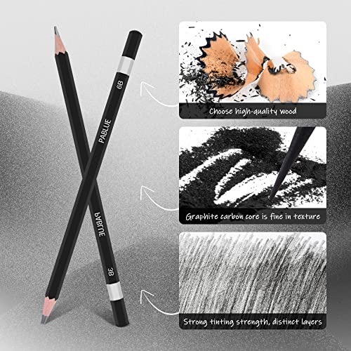 Pablue Professional Triangular Drawing Sketching Pencil Set,6H,4H,2H,H,Hb,F,B,2B,3B,4B,6B,8B,10B,12B Graphite Shading Pencils For Beginners,Proartists,Drawing,Drafting,Sketching,Shading(14 Pieces) #TOP3
