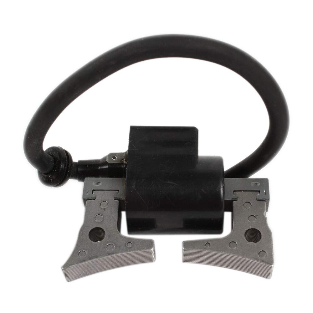 Amazon.com: Ignition Coil for Subaru Robin 277-79431-11,20A-79431