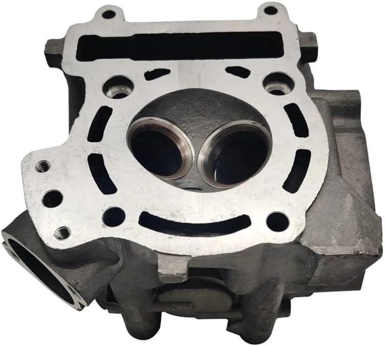 Cylinder Head Assy Fit For Linhai Water Cooled Engine LH250 260 Scooter ATV UTV 22401A YP250 Majesty
