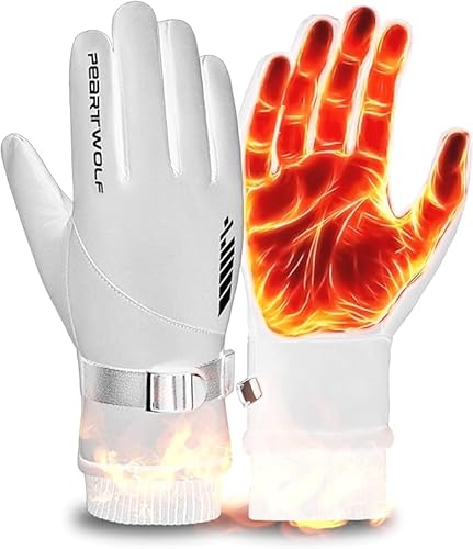 [Azamar] h hO[u N ۉ   Y X}zΉ ^b`pl ]ԃO[u fB[X (zCg)