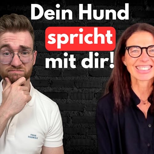 #11 Wenn Hunde eine Stimme h&auml;tten: Tierkommunikation mit Stefanie Stromann!