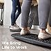 FluidStance Adult Balance Board for Standing Desk - Anti Fatigue USA Made 360 Degree Rocker Wobble Board as Exercise Equipment to Increase Focus & Movement - Sustainable Anti-Slip Plane Standing Board