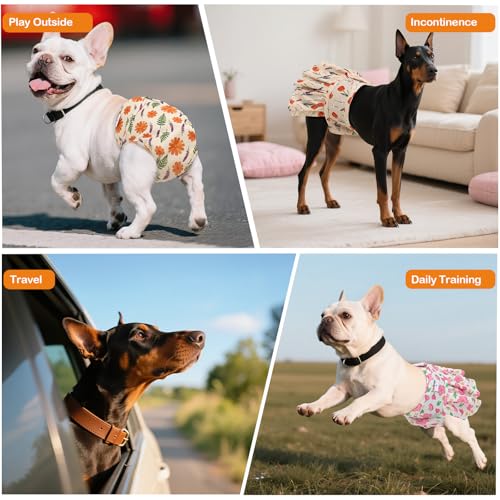Image of Female Dog Diapers Reusable No Tail Hole Period Panties Washable Diapers Female for Docked-Tail Frenchie French Bulldog Boston Terrier Without Tail (2 Pack Regular+2 Pack Skirts) U-WWDQB05S