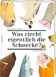 Knesebeck Von Dem GmbH