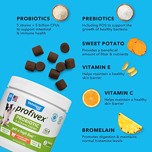 Vetnique Profivex Probiotics For Dogs All Natural Dog Chews For Digestive Health Probiotic Supplements For Dogs 5 Strains Of Probiotics & Prebiotics #TOP1
