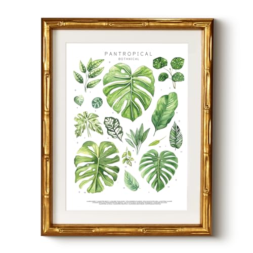 Pantropical Botanical Gold Bamboo-Textured Framed Wall Art, Nature-Inspired 11x14 Inch Tropical Greenery & Monstera Leaf Plants Canvas Print, Modern Room Home Office Decor for Bathroom Bedroom