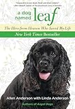 Dog Named Leaf: The Hero from Heaven Who Saved My Life (New York Times Best Seller)