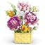 Carnation