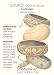 Hard-Shelled Corsican Gourd Seeds - 2.5 grams
