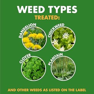 Spectracide Weed & Feed 20-0-0 (Ready-to-Spray) (32 fl oz), 1 pack