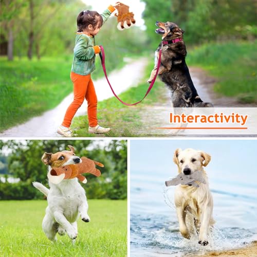 DBAILY Unzerstörbares Hundespielzeug 2 Stück - Löwe Elefant Tauziehen Kuscheltiere für Große, Kleine Und Mittlere Welpen - Plüsch Intelligenzspielzeug