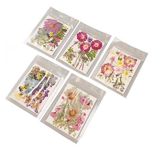 Kit de flores prensadas 5 bolsas 100 piezas para manualidades miniatura 2