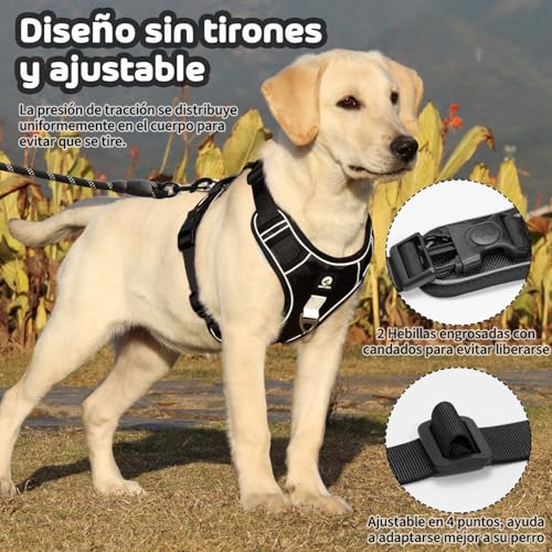 Pecheras para perros 3 Imagen adicional