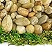 River rocks