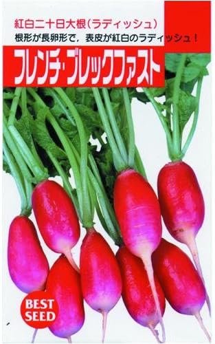 Amazon タキイの種 二十日大根 ラディッシュ フレンチ ブレックファスト 野菜