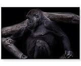 Toutes les photos sont disponibles dans différents formats. Le motif parfait est parfaitement adapté à chaque pièce.