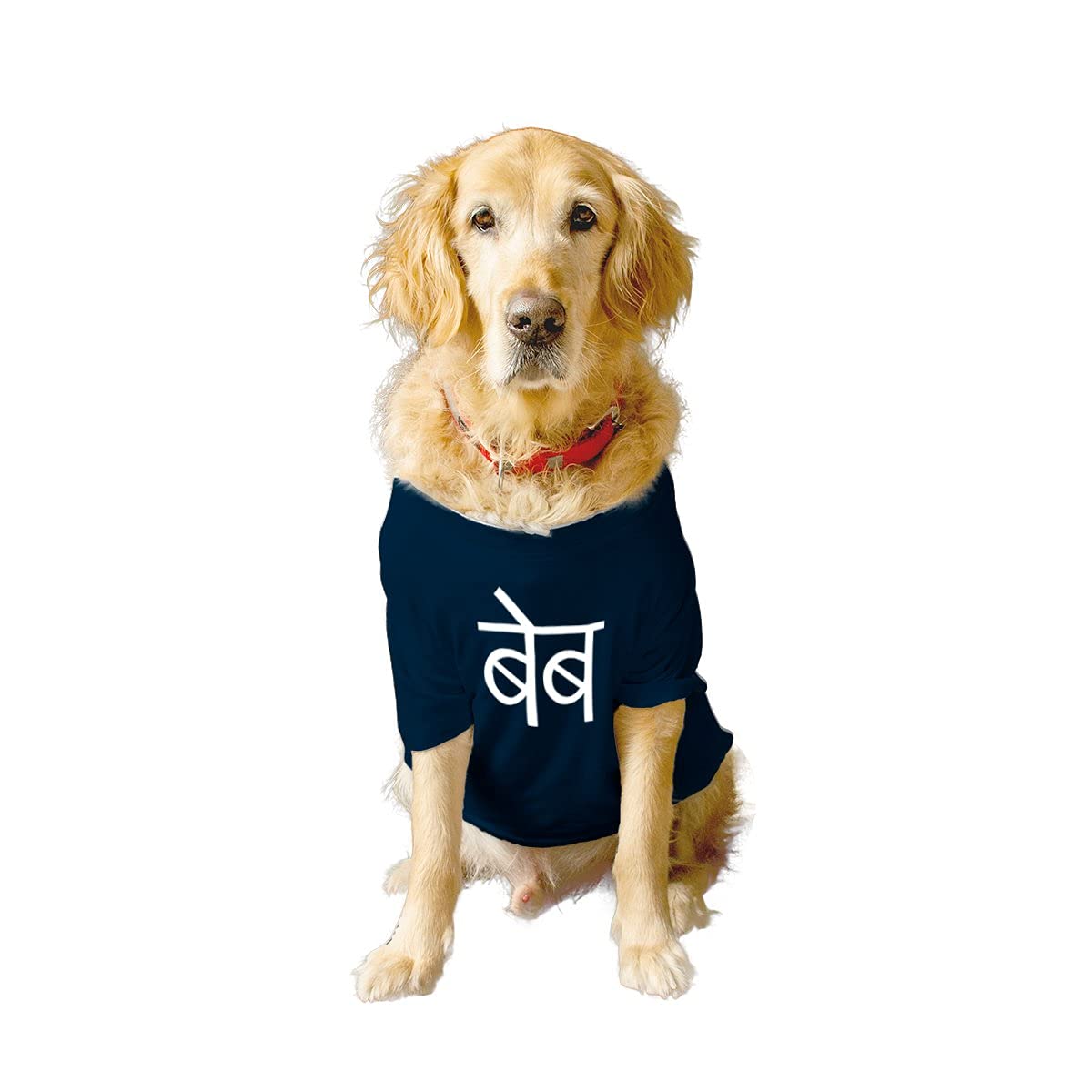 Ruse Basic Crew Neck Desi Babe Printed Half Sleeves/Apparel/Clothes/T-Shirt Gift for Dogs.Colour-Navy/X-Small (New Born Puppy) (B09799T478) Amazon Price History, Amazon Price Tracker