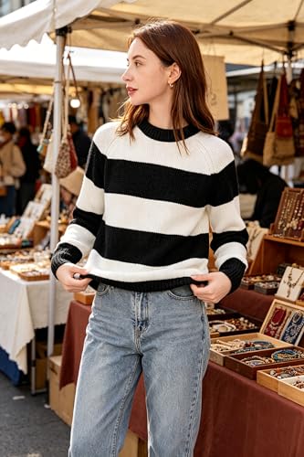 Image of Simple&Opulence Women's Chenille Sweater Crewneck Long Sleeve Pullover Ribbed Cuff Hem Round Neck Jumper Tops