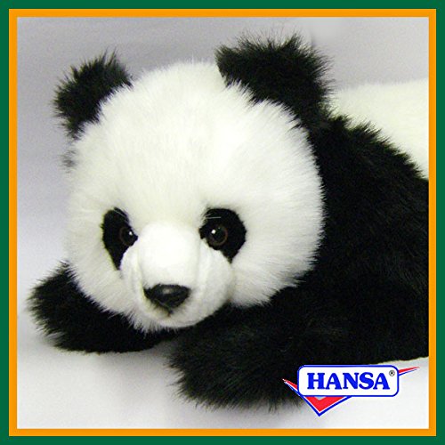 Amazon.co.jp: HANSA ハンサ ぬいぐるみ 4182 子ジャイアントパンダ 65