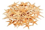 seesterne trocknen backofen echte getrocknete Seesterne NaDeco Sugar Seestern 8-10cm, 50 Stück Deko Seestern kleine Seesterne Seesternchen