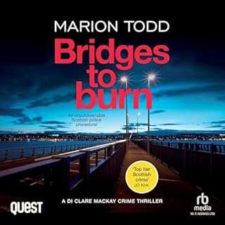 Bridges to Burn cover art