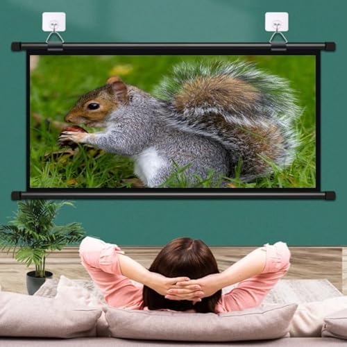 Pantalla de proyección manual 72" 16:9 SXKJQER miniatura 3