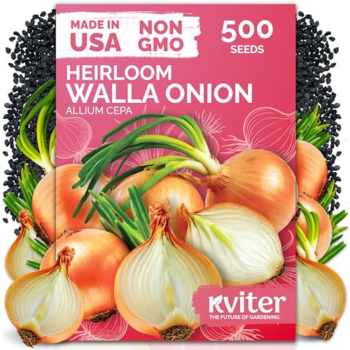 KVITER 500 Walla Walla Onion Seeds for Planting (Allium cepa) Long Day Sweet Onions Gardening Seeds Non GMO Heirloom Vegetable Seed Packets Outdoor & Indoor Gardening Home Garden Raised Beds