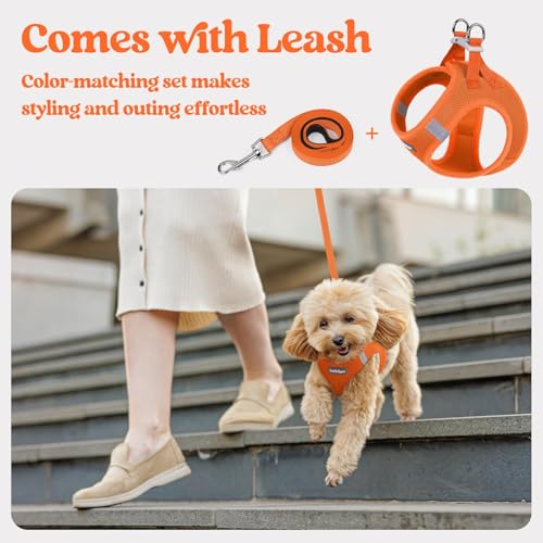 Image of rabbitgoo Dog Harness Small Sized and Leash Set, Step-in Puppy Pet Vest