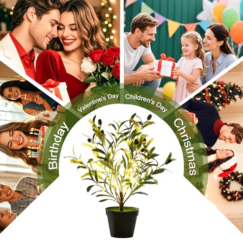 Image of Artificial Olive Tree Lamp, Faux Olive Tree and Fruits Artificial Plant Twinkling Tree for Office House Living Room Bedroom Stairs Foye Coffe Shop Store Home Decor, Christmas Birthday Gifts for Women