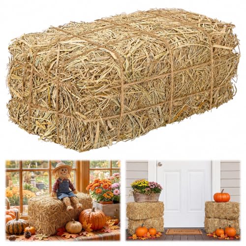 Beeplove Farmhouse Natural Hay Bales for Decoration, 15.8''x8.3''x6''