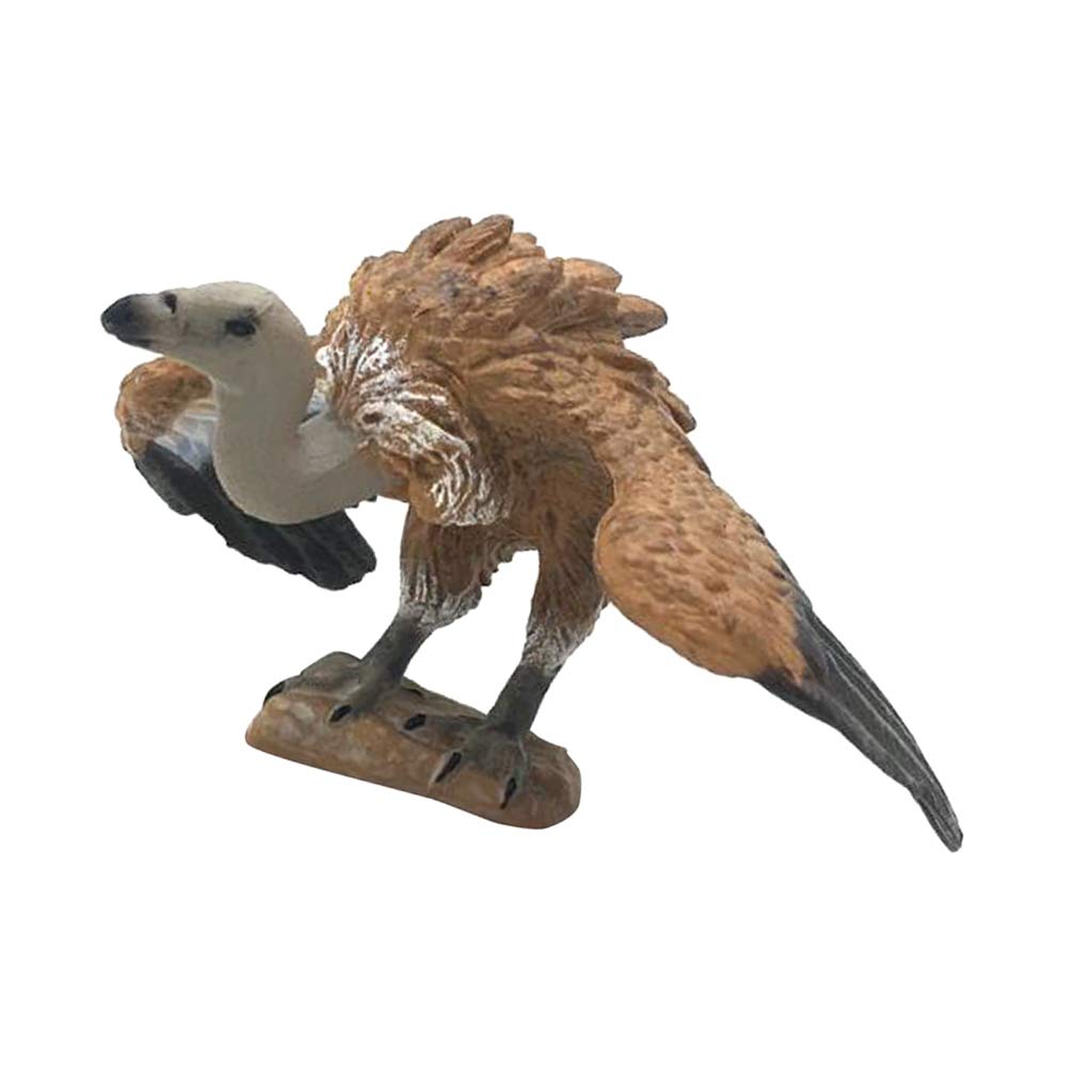 Kbolae Bird Miniature Animals S Model Figurine Statue Sculpture Toy Vulture