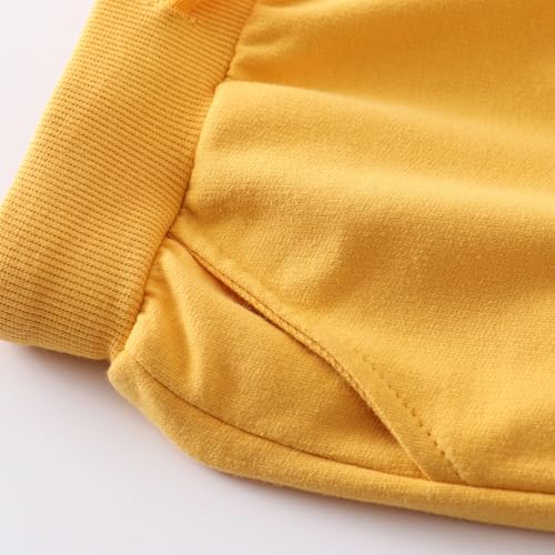 Image of Little Boys Jogger Pants Toddler Boys' Drawstring Elastic Waist Cotton Casual Sweatpants 1PC / 2 PCS Set