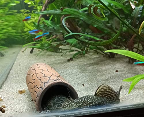 Image of Plecoceramics Aquarium pleco breeding cave Fish Tank Decorations Small Size (6 pcs)