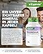 Magnesiumbisglycinat - 365 Kapseln - Premium: Chelatiertes Magnesium - 155 mg elementares Magnesium pro Kapsel - Laborgeprüft - Vegan - Hochdosiert