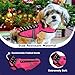 CoyoteVest SpikeVest Dog Harness Vest for Small Dogs, Reflective Dog Vest with Spikes to Shield Your pet from Coyotes, Raptor and Animal Attacks, Anti Hawk Vest, Made in USA (S-Pink)