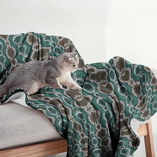 Sowide Snake Blanket, Green Soft Fleece Snake Print Blanket Throws, Flannel Reptile Animal Print Blanket - Image 3