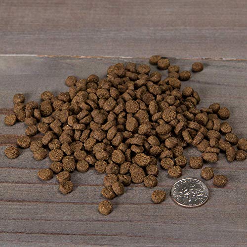 Image of Nulo Adult & Kitten Grain Free Dry Cat Food With Bc30 Probiotic (Turkey, 5Lb Bag)