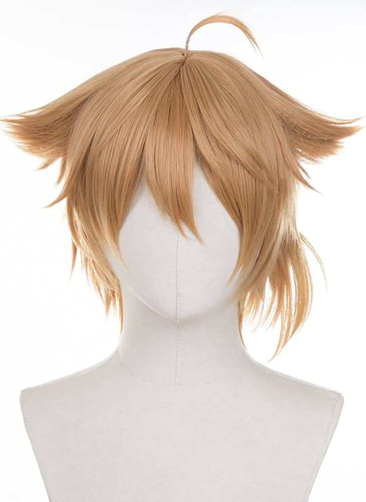 Amazon.co.jp: 伏見ガク コスプレウィッグ 耐熱 かつら アニメ