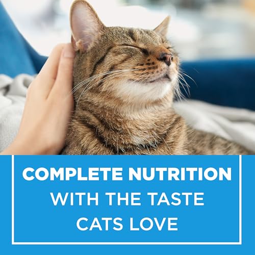 Cat Chow Complete Dry Cat Food, Real Chicken - 8 kg Bag image 5
