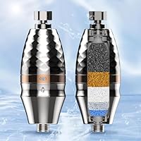 BriskSpring Duschfilter mit Zeit-Erinnerung, Duschfilter mit Vitamin C für hartes Wasser, Kalkfilter Dusche zur Entfernung von Chlor und Schwermetallen, 2-in-1 Wasserenthärter, Silber