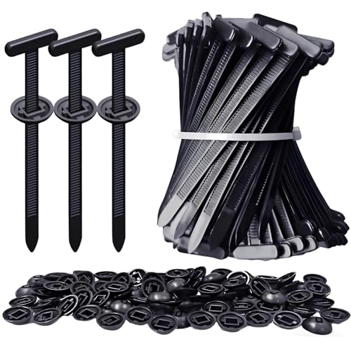 Cosswe IFUDE Schießhandschuh Leder 3 Finger Schutz Handschuh und Bogenschießen Armschutz mit verstellbarem Riemen