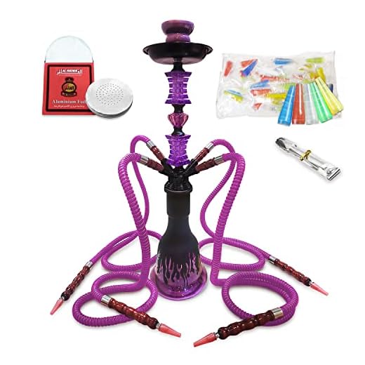 23'' Hookah Set with Everything, Premium Hookah Shisha set, Up To 4 Persons Hookah Complete Set with 50 Disposable Tips, 50 Pre-Punched Aluminum Foil(Purple)