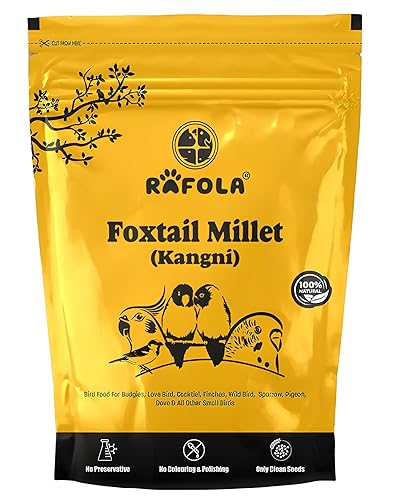 Image of Foxtail Millet, Bird Food for Exotic Birds All Life Stages 900gm