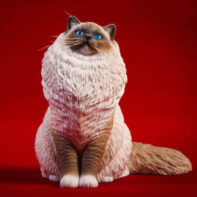 Ragdoll Cat Statue JXK 1/6 Figurine de Chat Réaliste en Résine Modèle Félin Décoration Intérieure